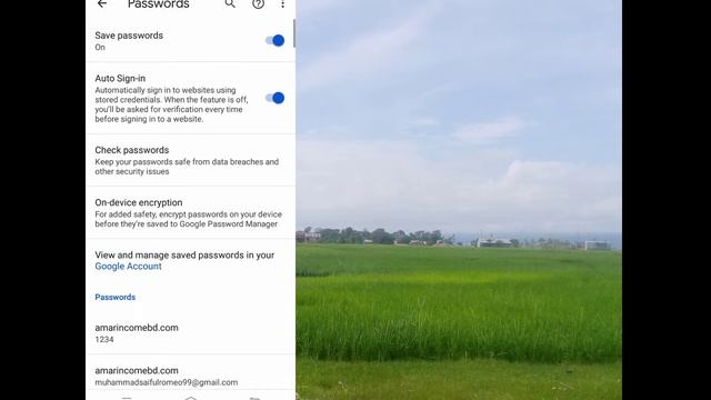 যে কোনো পাসওয়ার্ড দেখুন। How to see Passwords Seved in Chrome in Bangla tutorial смотреть онлайн