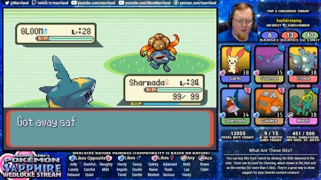 Pokémon Sapphire Wedlocke, Part 50: Training For Tate & Liza! (Training Episode) смотреть онлайн