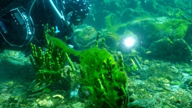 WEBCAM ВЕБКАМ смотреть онлайн