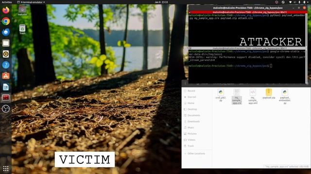 Google Chrome CVE-2024-0333 Demo смотреть онлайн