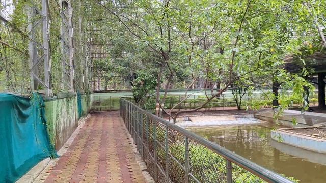 nandanvan zoo raipur || chhattisgarh tourist places || pixel 6a camera test смотреть онлайн