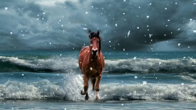 HAJ Ustoz FOZIL QORI | ХАЖ ФОЗИЛ КОРИ