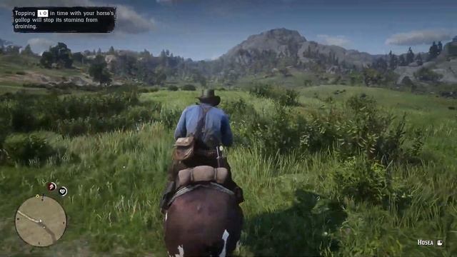 RED DEAD REDEMPTION 2 Walkthrough PART 7 / No Commentary - Cousin.. By Marriage смотреть онлайн