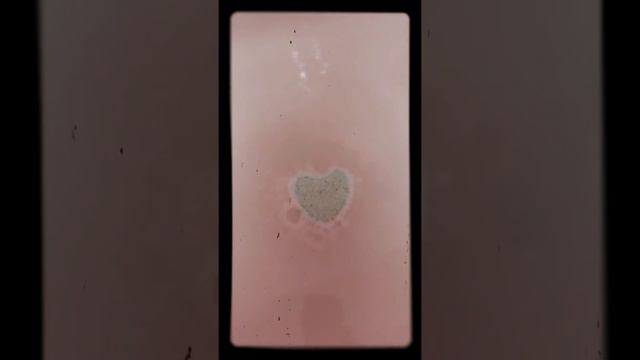 Lavender hamp bath bomb смотреть онлайн