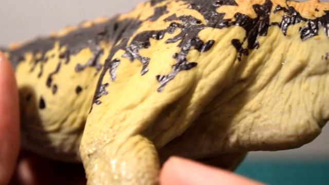 Safari Ltd® Carnotaurus - Carnegie Museum Of Natural History - Toys That Teach®