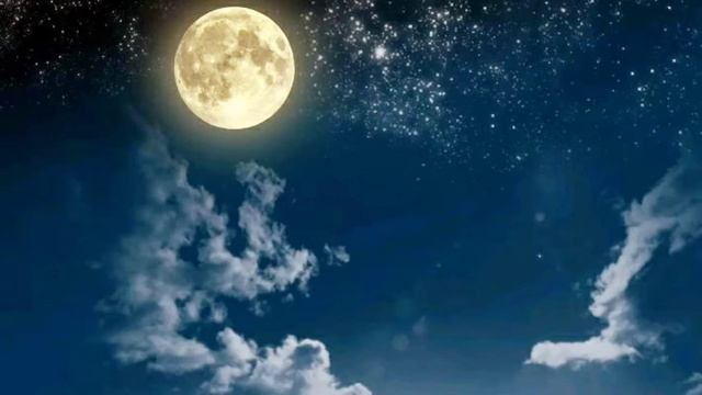 Beautiful Music Ever :