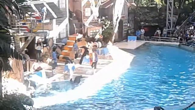 Sea Lion Show, Safari World and marine Park, Bangkok, Thialand смотреть онлайн