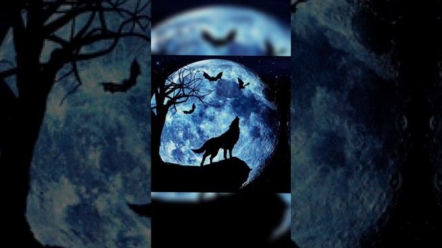Всемирная ночь воя на луну смотреть онлайн