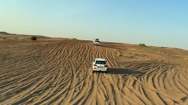 इसके बिना Dubai Trip अधुरा Tha | Riding In 2.5Cr SUV | ExploreTheUnseen2.0 смотреть онлайн