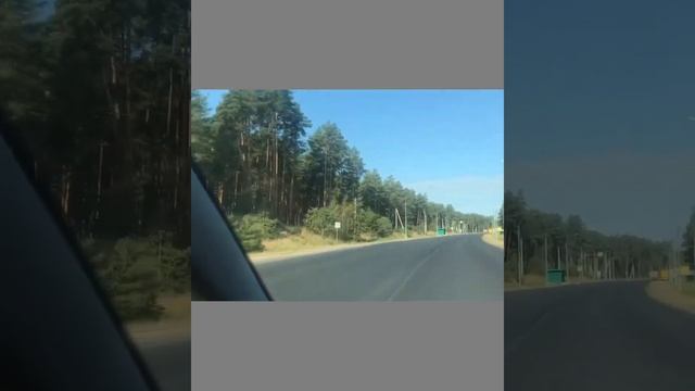 Поездка в Белоруссию. Осень 2020. Часть 3 #AllGoodDayZ смотреть онлайн