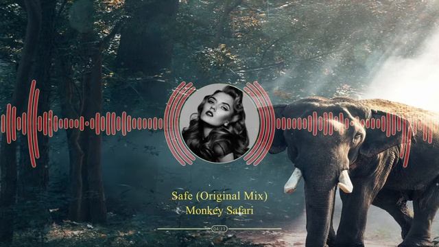 Monkey Safari - Safe (Original Mix) HD Video