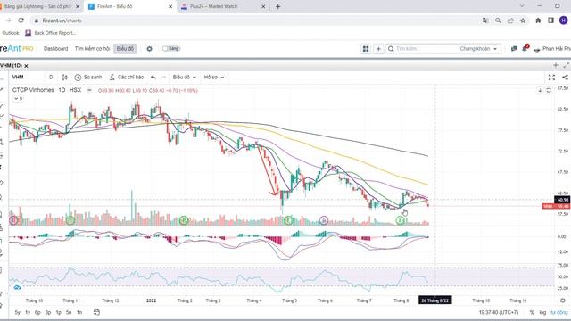 Plus24 – Market Watch Google Chrome 2022 08 22 19 14 43 смотреть онлайн