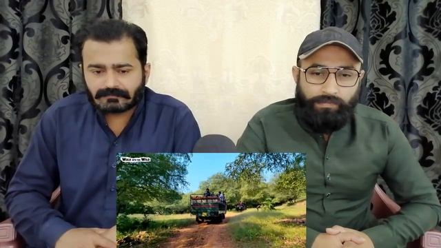 Ranthambore National Park Rajhastan India - Zone 4 Tiger Safari -(T86) 4K Video | Pakistani Reactio смотреть онлайн