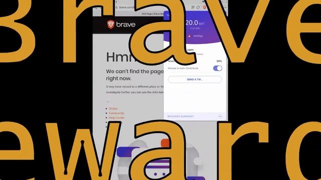 BRAVE SHIELDS FOR PRIVACY смотреть онлайн
