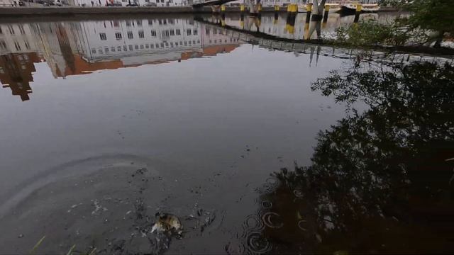 UL auf Barsch | Barschangeln am Kanal смотреть онлайн