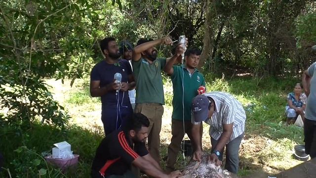 How Brave Men With Warm Hearts Treat The Elephant / Saving An Elephant From A Deadly
