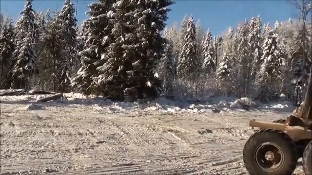 Заготовка леса смотреть онлайн