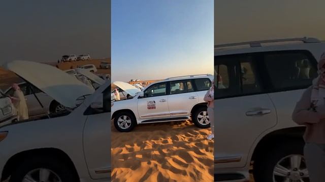 Safari Dubai. Сафари Дубай. смотреть онлайн
