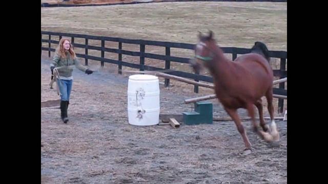 Luneging Aisling Over Jumps (Jump then Fall) смотреть онлайн
