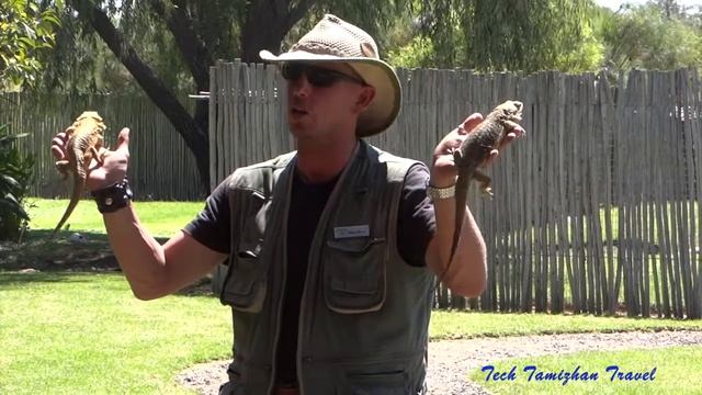 Croc City Crocodile & Reptile Park смотреть онлайн