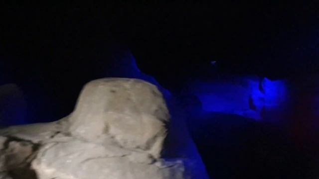 Zufari Chessington World of Adventures African Safari Adventure Howloween 2020 Halloween event смотреть онлайн