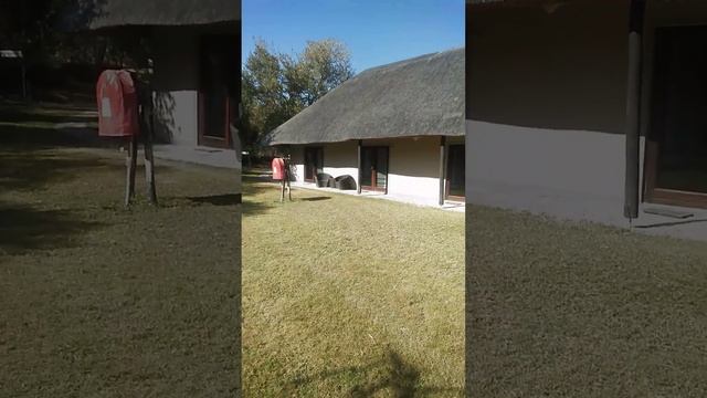 Mokuti etosha lodge смотреть онлайн