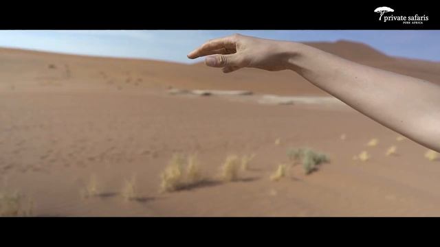 Private Safaris | Namibia смотреть онлайн