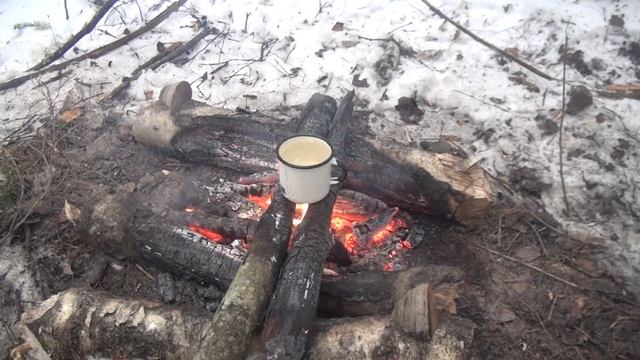 ПЯТНИЦА.ЗИМНИЙ ЛЕС.ПВД