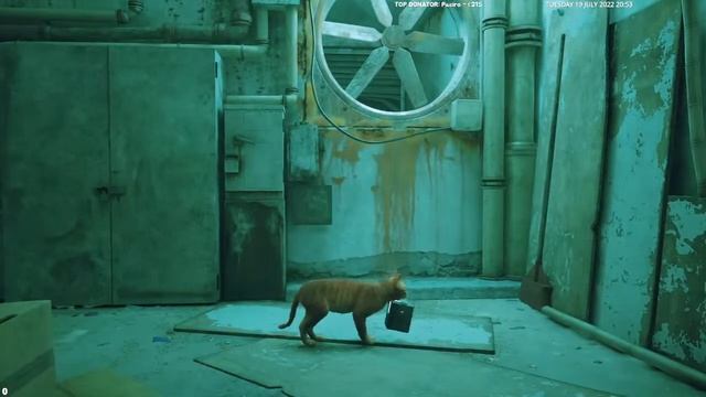 Stray - JA SAM MALA CICOS MACOS #1 смотреть онлайн