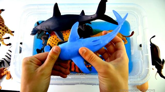 Box Of Toys Wild Zoo Animals Safari Toy Zoo Animal Names For Kids смотреть онлайн