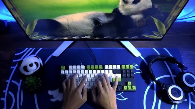 Panda Keyboard on Rainy Night | ASMR смотреть онлайн