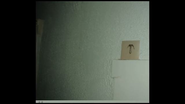 Top 15 Of Jack Stauber's Extended Micropop Songs - Jack Stauber Compilation Part 6