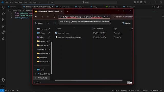 Chromedriver Setup In Selenium || How to install Chromedriver in selenium #chromedriver #selenium смотреть онлайн