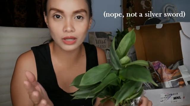 PLANT UNBOXING FROM LUNA GREEN LENS | #AynLovesPlants смотреть онлайн