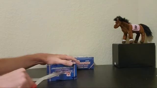 2022 Bowman Mega BB Break 6/7/22 смотреть онлайн
