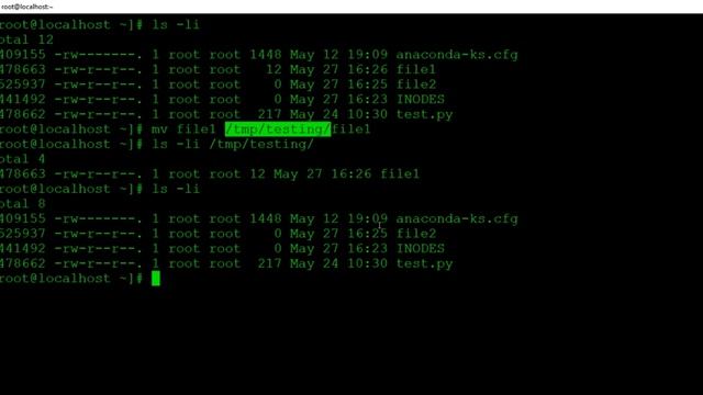 Linux File Manipulation - SavageCamp смотреть онлайн