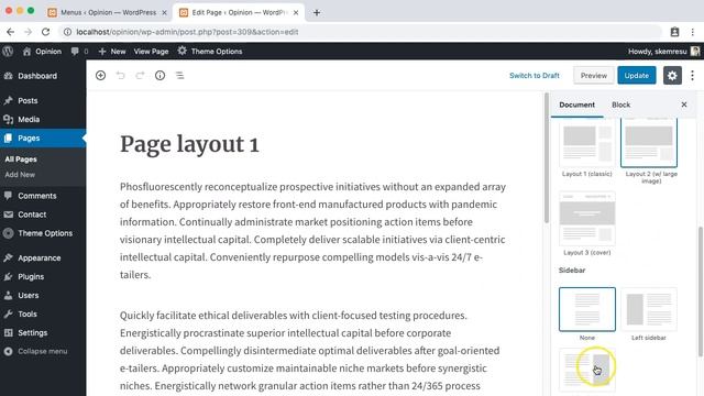 Page options override - Opinion WordPress Theme смотреть онлайн