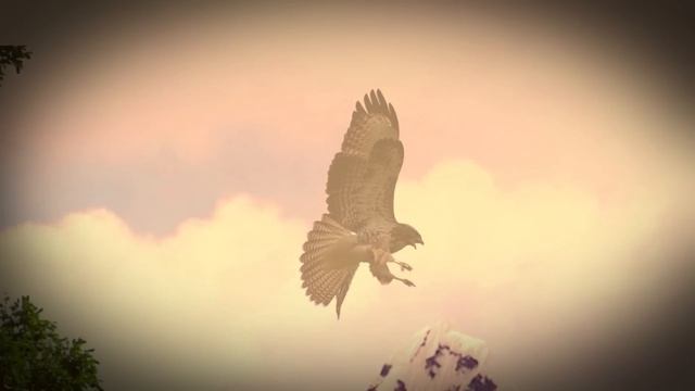 Meteora - My Reality (Symphonic Metal)