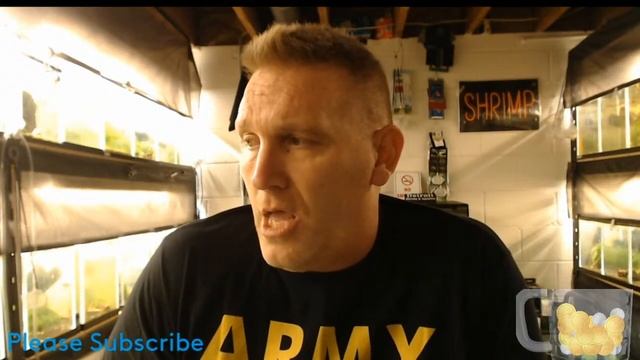 Detroit Shrimp & Aquatics is going live #129 смотреть онлайн