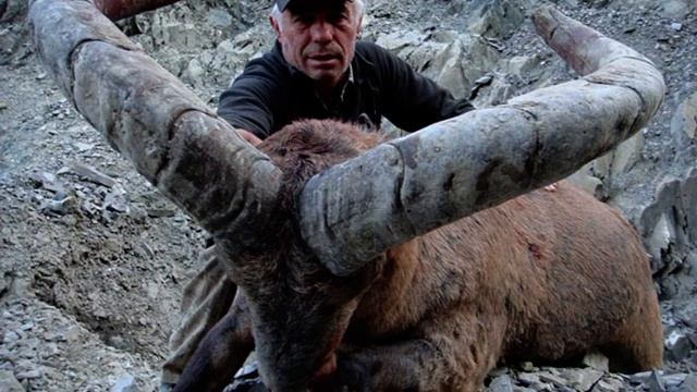 season of 2010 TUR HUNTING Azerbaijan смотреть онлайн