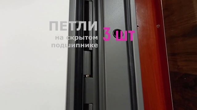 Видеообзор входной металлической двери "Лира с зеркалом" от компании АСД. смотреть онлайн