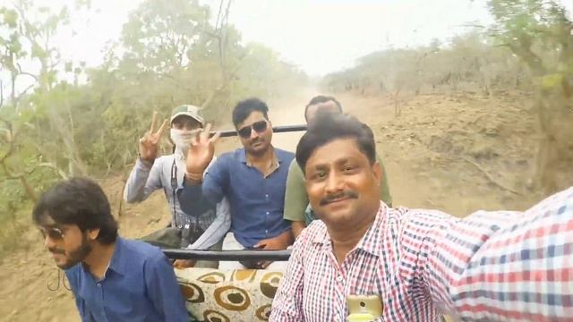 Gir Lion Live Safari With Us. смотреть онлайн