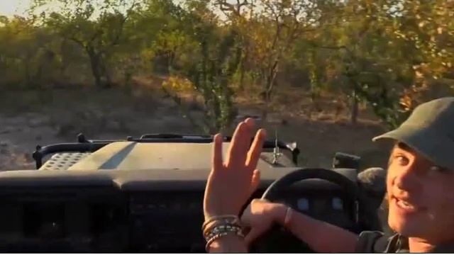 SouthAfricaDjAraCpPMLiveSafari 18 Jun 2016 Shadow and Sindile part 3 смотреть онлайн