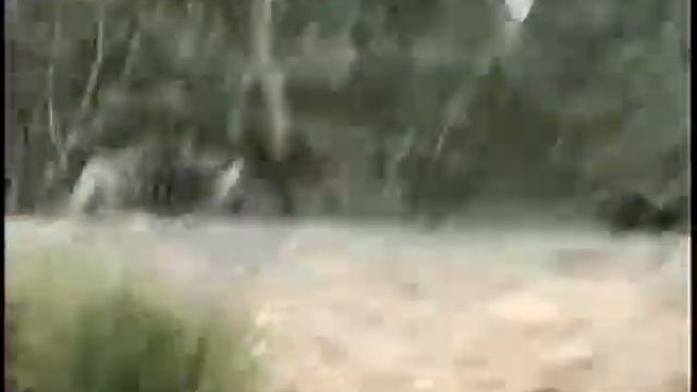 Kilimanjaro Safari plus trails 2000 смотреть онлайн