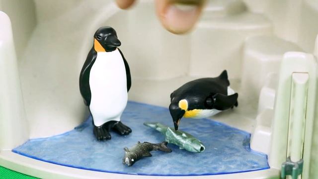 Learn ZOO ANIMALS Safari Tour! Wild creatures jungle ocean playmobil toys смотреть онлайн