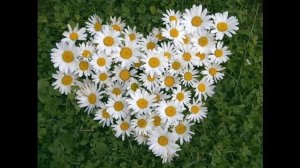 Добрые люди