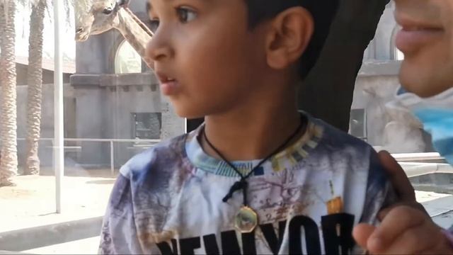 Emirates Zoo Park Abu Dhabi-part 1 смотреть онлайн