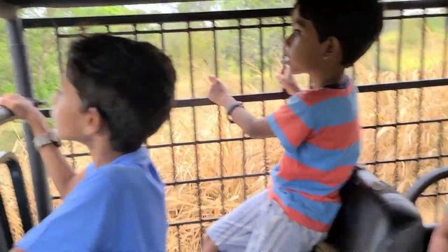Ridiyagama safari park Hambantota 🇱🇰 смотреть онлайн