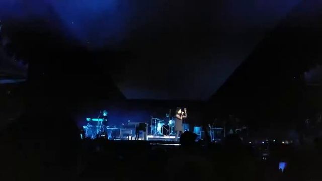 "You Make Me Brave" live by Amanda Lindsay Cook at Staples Center смотреть онлайн