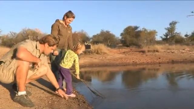 Kambaku Safari Lodge смотреть онлайн
